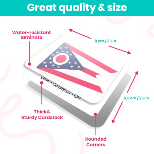 Menique U.S. States Flags Memory Matching Game – 100 Cards, 50 States and Capitals – Flashcards – Learn Flags & Abbreviations – Kids and Adults - style: U.S. States Flags