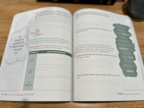 Luke Bible Study Guide plus Streaming Video: Gut-Level Compassion (Beautiful Word Bible Studies)