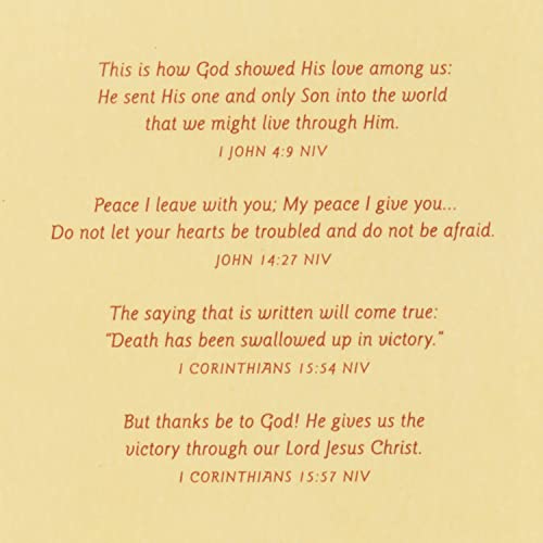 Hallmark DaySpring Religious Sympathy Card (Gods Comfort and Hope)