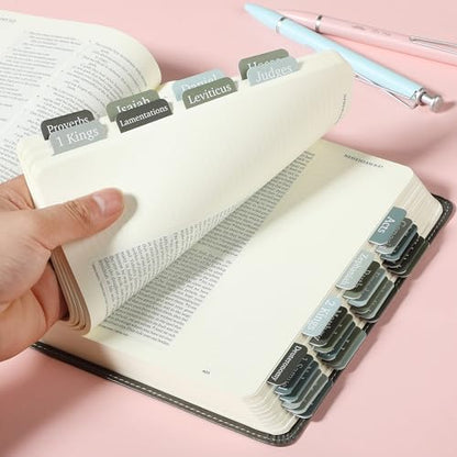 Mr. Pen- Bible Tabs, 75 Tabs, Frozen Lake Theme - color: Frozen Lake