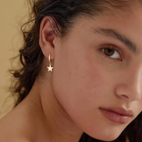 FETTERO Cross Dangle Earrings for Women Men Small Huggie Hoop Earring - style: Star