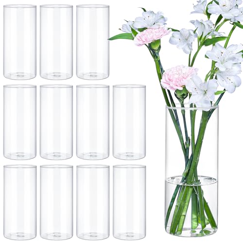 TBWIND 12pcs 8 Inch Clear Glass Cylinder Vases for Centerpieces - size: 12 Pack 8 Inch - Clear