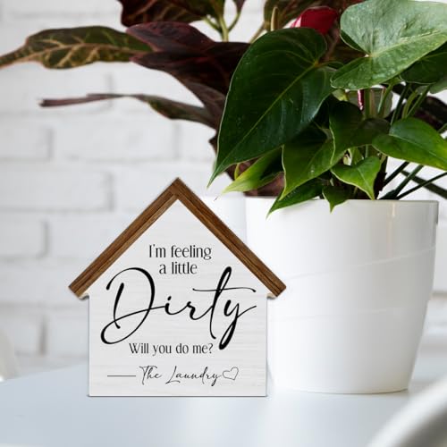 Funny Laundry Room Decor, I'm Feeling a Little Dirty House - color: Dirty