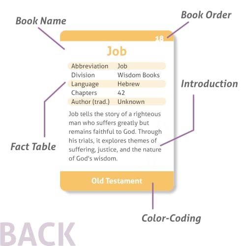 CARDDIA | Books of The Bible Flash Cards | Woodcut Illustrations, Color-Coded Divisions & Key Facts | Perfect for Bible Study, New Christians & Meaningful Christian Gifts