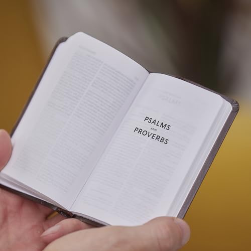 KJV Holy Bible: Pocket New Testament with Psalms and Proverbs, Black Softcover, Red Letter, Comfort Print: King James Version
