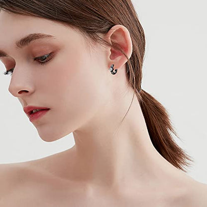AOBOCO Black Hoops Earrings for Men Sterling Silver Viking Celtic Cross Heart Skull Round Triangle Hoop Earrings Birthday Father Day Christmas Jewelry Gifts for Men Women Friends - style: Black CZ Hoops