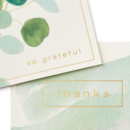 Hallmark Bulk Thank You Cards, Assorted 50-Pack (Watercolor Greenery)