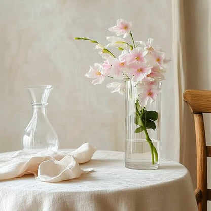 TBWIND 12pcs 8 Inch Clear Glass Cylinder Vases for Centerpieces - size: 12 Pack 8 Inch - Clear