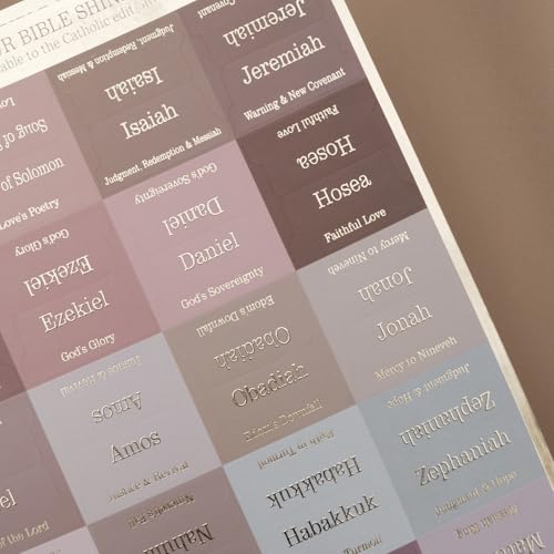UPAFEXXI-Laminated Bible Tabs with Book Summaries - color: Summaries Earth Tone