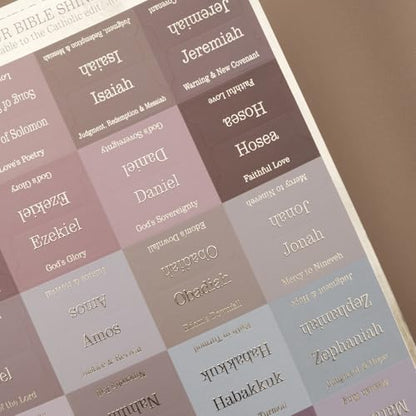 UPAFEXXI-Laminated Bible Tabs with Book Summaries - color: Summaries Earth Tone