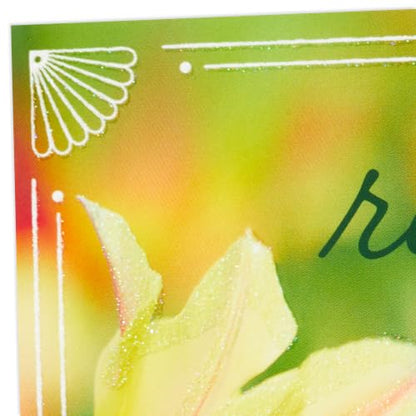 Hallmark DaySpring Pack of Religious Easter Cards, 10-Pack (He is Risen) - color: He is Risen, 10 Cards with Envelopes