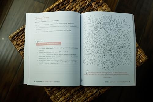 Song of Songs Bible Study Guide plus Streaming Video: The Love We Long For (Beautiful Word Bible Studies)
