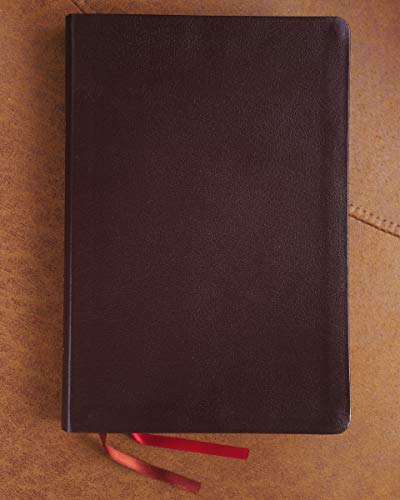 NIV, Thinline Bible, Giant Print, Bonded Leather, Burgundy, Red Letter, Comfort Print