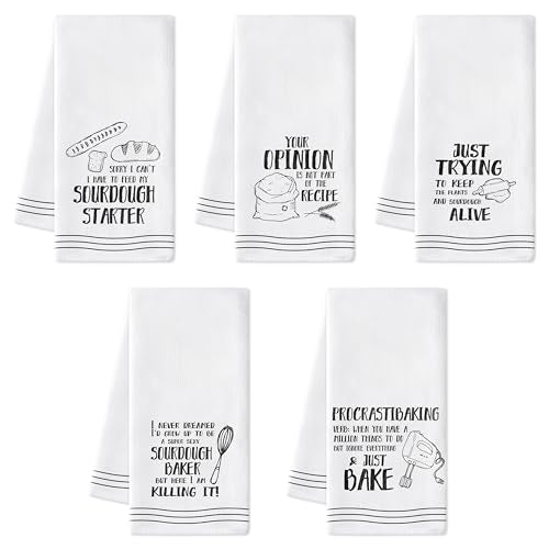 R HORSE Funny Baking Kitchen Dish Towels - 5Pcs Bread Theme Cleaning Dishcloth Bread Making Baking Absorbent Bar Quick Dry Hand Towel Tea Towels Birthday for Women Men Housewarming Decor - color: Funny Baking