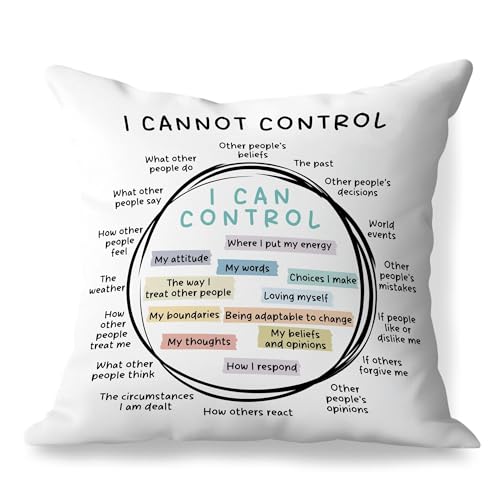 Circle of Control Mental Health Pillow Covers 18x18, Therapy Office Decor, I Can and Cannot Control Decorative Throw Pillow Covers for Classroom School Counselor Office - color: Circle of Control