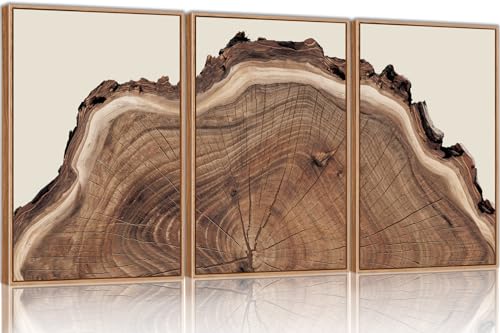 SIKERIC Framed Nature Tree Ring Wall Art, (16X24 inch) Modern Wood Stump Canvas Wall Art Set Of 3,Large Wood Tree Spiral Art Prints, Abstract Wall Painting for Living Room, Bedroom, Office - color: Nature Tree Ring, size: 16"L x 24"W