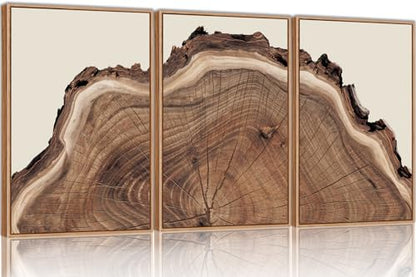 SIKERIC Framed Nature Tree Ring Wall Art, (16X24 inch) Modern Wood Stump Canvas Wall Art Set Of 3,Large Wood Tree Spiral Art Prints, Abstract Wall Painting for Living Room, Bedroom, Office - color: Nature Tree Ring, size: 16"L x 24"W