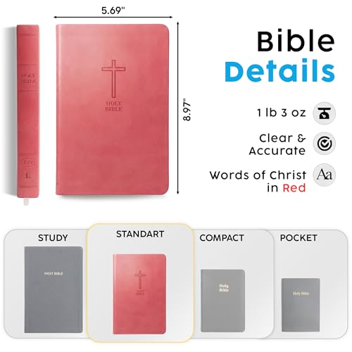 Personalized KJV Bible, Custom Name, School Name, Class of 2026 Design, King James Version, Red Letter, Value Thinline, Reading Plan, Graduation Gift, High School or Collage Graduate, Pink - color: Kjv Pink Value Thinline, size: King James Version