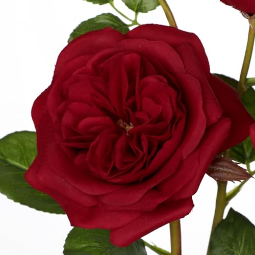 Hollyone Red Real Touch Roses Artificial Flowers in Vase Blue and White Porcelain Ceramic Pot 13.4" Fake Roses Flower Arrangement Artificial Plants & Flowers Potted Plant Faux Silk Rose Flower - color: Rose 3 - Red (13.4inch)