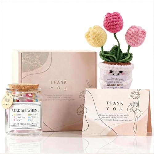 RainVibe Inspirational Bible Verse Jar with Tulip Crochet Doll - 96 Prayer Cards for Mom, Women, Teens | Christian Home Decor & Spiritual Encouragement - style: Tulip