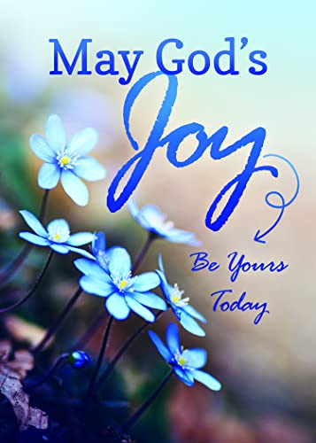 Lift Your Spirits - NIV Scripture Greeting Cards - Get Well - (Box of 12)