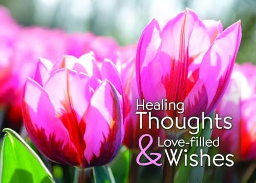 Warner Press Card-Boxed-Healing Thoughts Assorted Get Well (KJV) (Box Of 12)