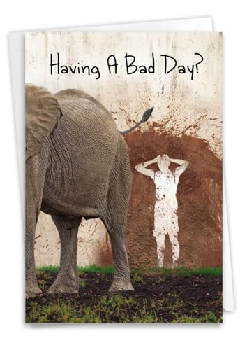 NobleWorks Funny Get Well Cards After Surgery 1 Get Well Card with Envelope Wildlife Toilet Humor Joke, Funny Thinking of You Notecard Could Be Worse for Animal Lovers C9361GWG - style: Could Be Worse