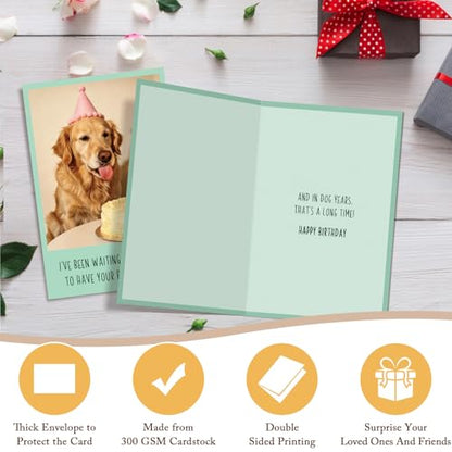 Qiliji Funny Dog Birthday Card for Him Her, Humor Bday Card for Dog Lover, Bday Cards from Dogs, Waiting A Whole Year to Have Your Birthday Cake - color: Dog Birthday