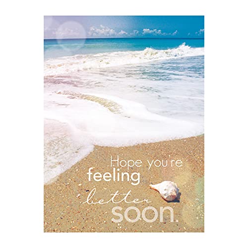 Paper Craft IG98642-RE Religious Get Well Soon Card Set with Envelopes, 12 Cards, 4.75'' W x 6.5'' H, Puppy, Floral, and Landscape Photography