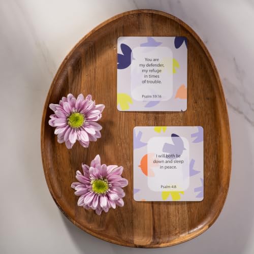 DIVERSEBEE Bible Verse Cards, 60 Unique Prayer Cards (Promises Theme) - color: Promises