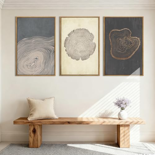 Anyzal Large Neutral Tree Ring Wood Framed Canvas Wall Art - color: Neutral Tree Ring, size: 24"L x 16"W