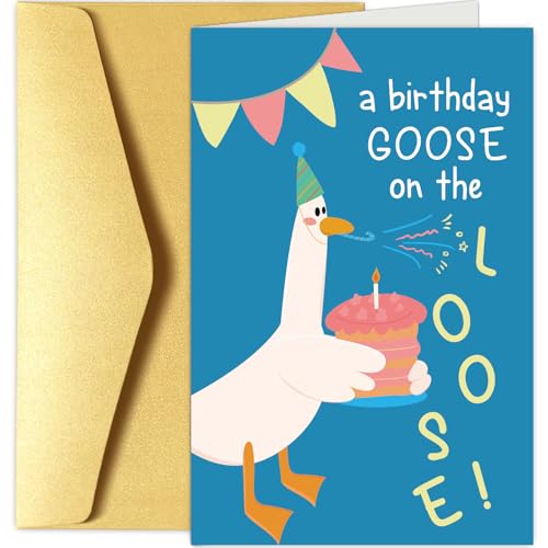Chenive Funny Silly Goose Birthday Card for Men Women, Cute Birthday Card for Friends Family Kids and Goose Lover, Hilarious Bday Gifts for Daughter Son Sister Brother - color: Silly Goose Birthday