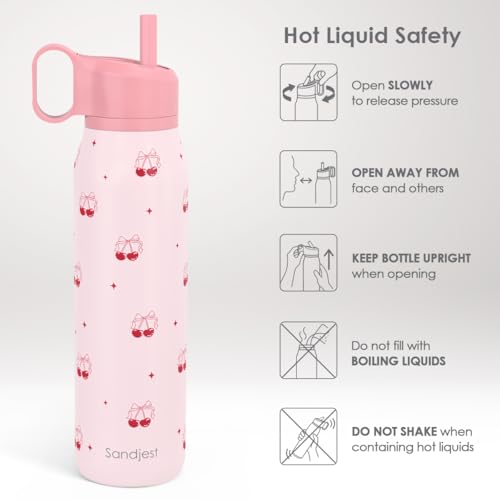 Cherry Water Bottle with Twist Lid Stainless Steel 20oz, Travel Insulated for Sports & Gym, Gift for Women Girl Birthday Christmas - color: Cherry 2