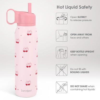 Cherry Water Bottle with Twist Lid Stainless Steel 20oz, Travel Insulated for Sports & Gym, Gift for Women Girl Birthday Christmas - color: Cherry 2