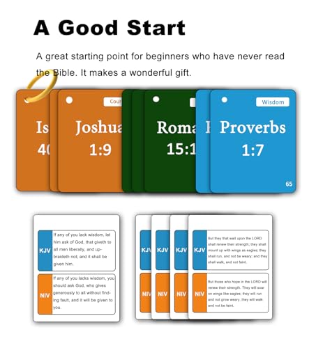 100 Memory Bible Verses Flash Cards (NIV, KJV)