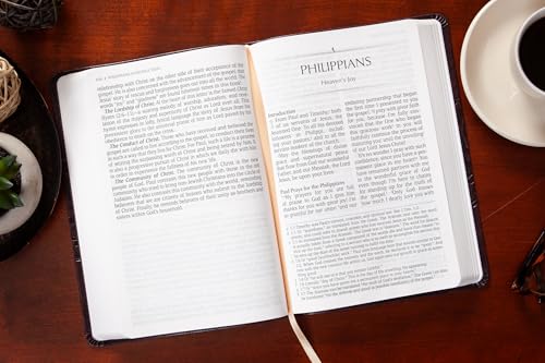 The Passion Translation New Testament (2020 Edition) Giant Print Plum: With Psalms, Proverbs, and Song of Songs – A Modern, Easy-to-Read Bible