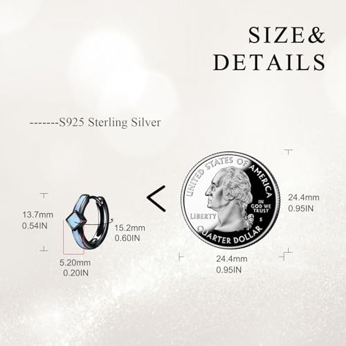 AOBOCO Black Hoops Earrings for Men Sterling Silver Viking Celtic Cross Heart Skull Round Triangle Hoop Earrings Birthday Father Day Christmas Jewelry Gifts for Men Women Friends - style: Opal Hoop Earrings