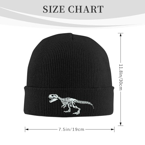 Black Beanie Hat for Men Women Embroidered Knit Winter Beanies Cap - color: Dinosaur