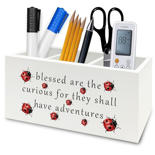 Inspirational Ladybug Pen Pencil Holder Organizer for Desk, Motivational Wooden Box Signs Decorations for Home Office Desk Tabletop, Inspirational Gifts for Women Men - color: Color39