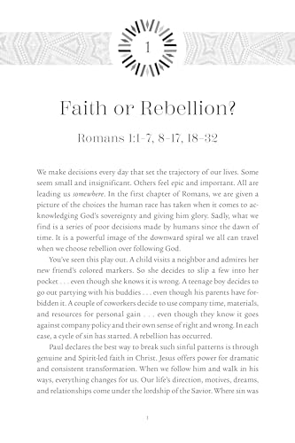 Romans Bible Study: Living Our Faith with Grace and Truth (NIV Application Commentary Resources)