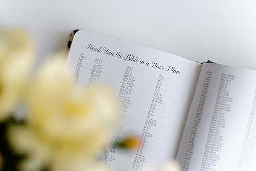 Daily Wisdom for Women 2025 Devotional Collection (Daily Wisdom - Annual Edition)