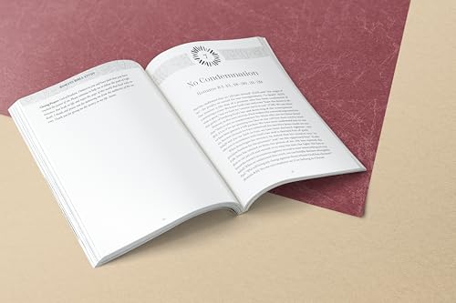 Romans Bible Study: Living Our Faith with Grace and Truth (NIV Application Commentary Resources)