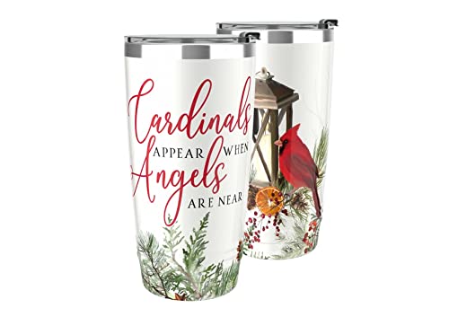 Onebttl Cardinal Gifts for Women, 20oz Stainless Steel Tumbler with Lid and Straw, Cardinals Appear