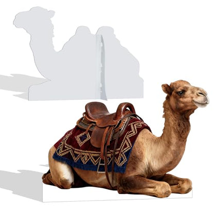 Nativity Camel 5FT Life Size Cardboard Cutout Standup, 1 PC - color: Camel1, size: 5FT