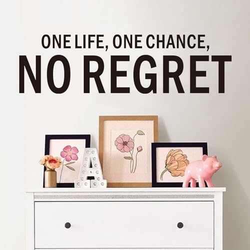 Inspirational Wall Stickers for Living Room: Motivational Quotes Office Gym School Classroom Garage Bedroom Vinyl Art Wall Decals - One Life One Chance No Regret 25" X 7" - color: One Life One Chance No Regret, size: Small