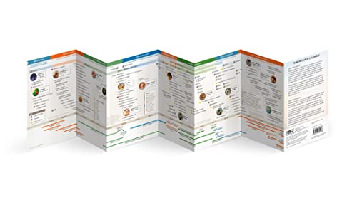 Chronology of the Bible