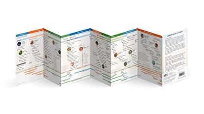 Chronology of the Bible
