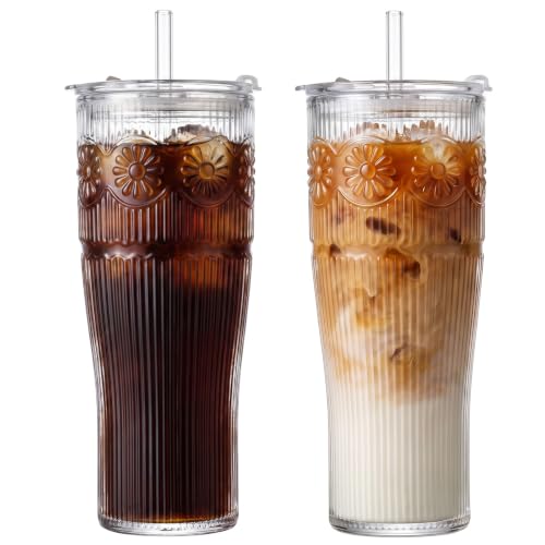 GOSCHE 20 oz Iced Coffee Cups with Lids, Glass Cups with Lids and Straws, Borosilicate Glass Tumbler for Coffee,Tea and Water, 2 Pack, Daisy