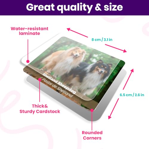 Menique Dogs Memory Matching Game for Kids – 80 Bilingual Cards, 40 Pairs with Real Dog Breed Photos – Educational Family Card Game for Ages 3+ - style: Dogs