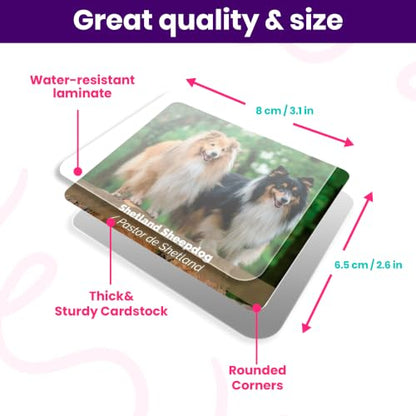 Menique Dogs Memory Matching Game for Kids – 80 Bilingual Cards, 40 Pairs with Real Dog Breed Photos – Educational Family Card Game for Ages 3+ - style: Dogs